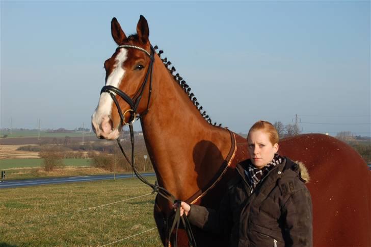 Dansk Varmblod Sylvester Stallone- SOLGT - sylvester og jeg, taget d. 8 marts 2008 billede 1