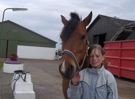 New Forest Nørregaards Bob (Fire)    - Mig og Fire. billede 4