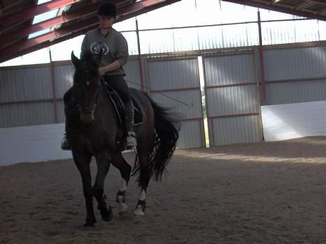 Oldenborg Joy -> R.I.P Altid savnet - lidt ridning. billede 11