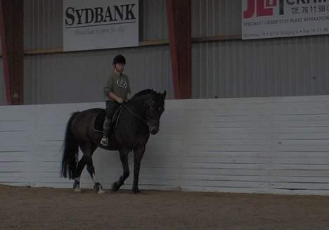 Oldenborg Joy -> R.I.P Altid savnet - se hvor fint vi kan gå =) billede 13