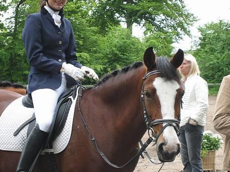 Anden særlig race Miss Put - Hun er så smuk (: . Taget til distriksstævnet i Bernstoffsparken d. 27-05-06. FIk en andenplads i LB1, + en andenplads i klubmesterskabsklassen. billede 1