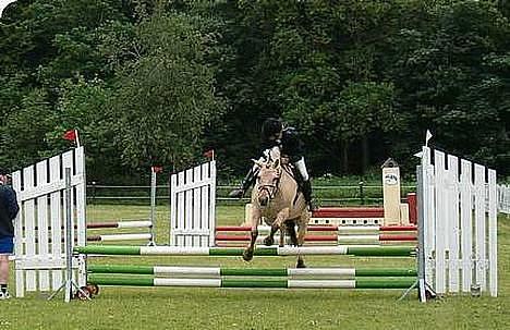 Fjordhest Perle *RIP <3* - perle og mig i LB i Ribe juni 2006  blev nummer 3, samlet nummer 2 i cup finalen :) billede 7