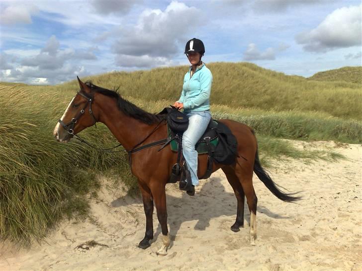 Traver Iron Flamingo # R.I.P # billede 8