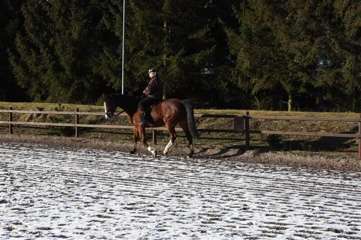 Traver Iron Flamingo # R.I.P # - Versade i skridt billede 11