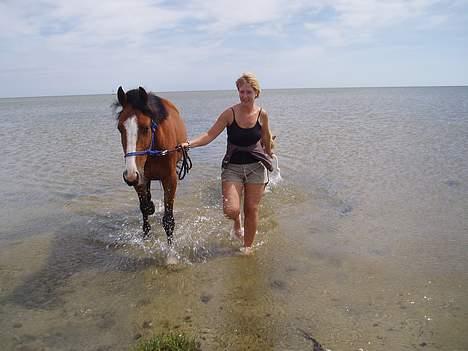 Traver Iron Flamingo # R.I.P # billede 14