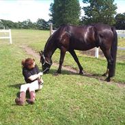 Traver Figther solgt /: