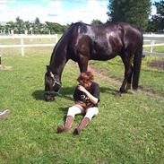 Traver Figther solgt /: