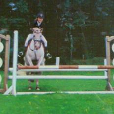 Anden særlig race Viggo