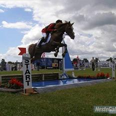 Anden særlig race Vestergårds La Chanta  