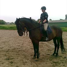 Anden særlig race rasmus