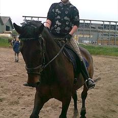 Anden særlig race rasmus