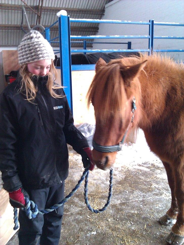 Islænder Toke |I Miss You| - Skal til at strigle bassen. - Fotograf Sophie Kragelund. billede 11