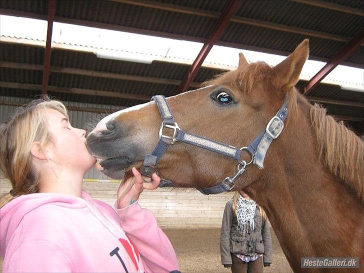 New Forest Wendy<3 (savnes  :'-( ) - Kærlighed starter med et smil, vokser med et kys, og slutter med en tåre billede 12