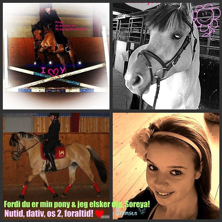 Anden særlig race Soreya  - når billeder siger mere end 1000 ord..<3 billede 15