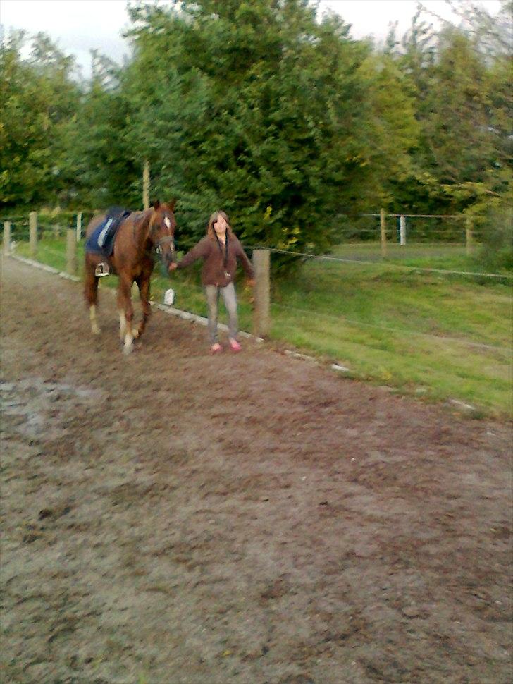 Traver Nero (Solgt) billede 9