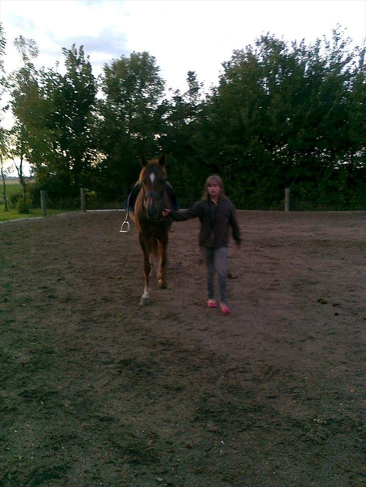 Traver Nero (Solgt) billede 10