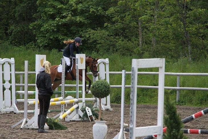 Anden særlig race Joke. <33 - smukke joke og mig til hørs stævne LC** billede 9