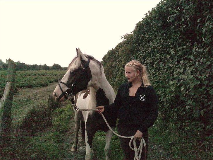 Anden særlig race Spanggaard's Pocahontas  - poca på sin første gå tur med hovedtøj på :-) billede 10