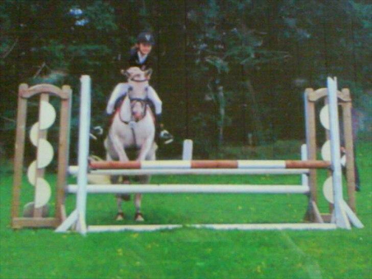 Anden særlig race Viggo - vores første LB, i tinglev-rideklub(:   foto; hanne billede 2