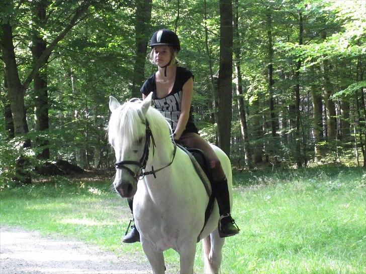 Connemara Skatholm Surf Rider - I Love you billede 4