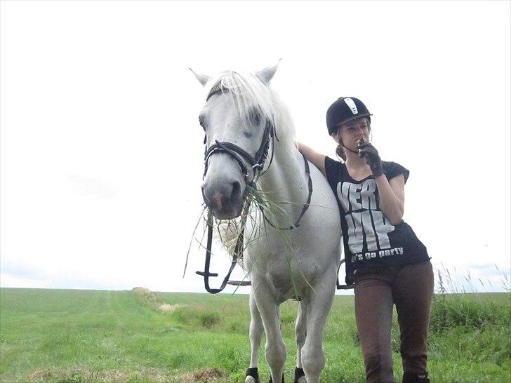 Connemara Skatholm Surf Rider - Vi chiller :D billede 5