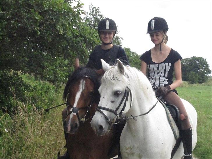 Connemara Skatholm Surf Rider - Mig og Trine billede 6