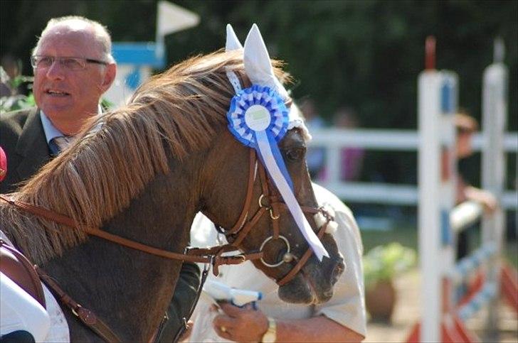 Anden særlig race Vestergårds La Chanta   billede 2