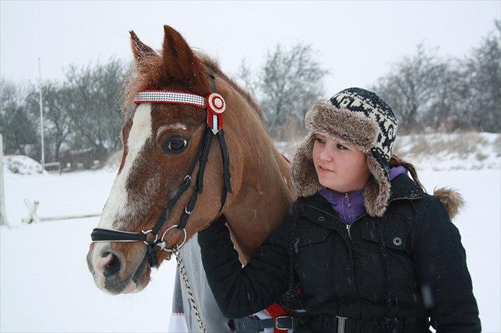 Anden særlig race Vestergårds La Chanta   - Skønheden i sne:) billede 7