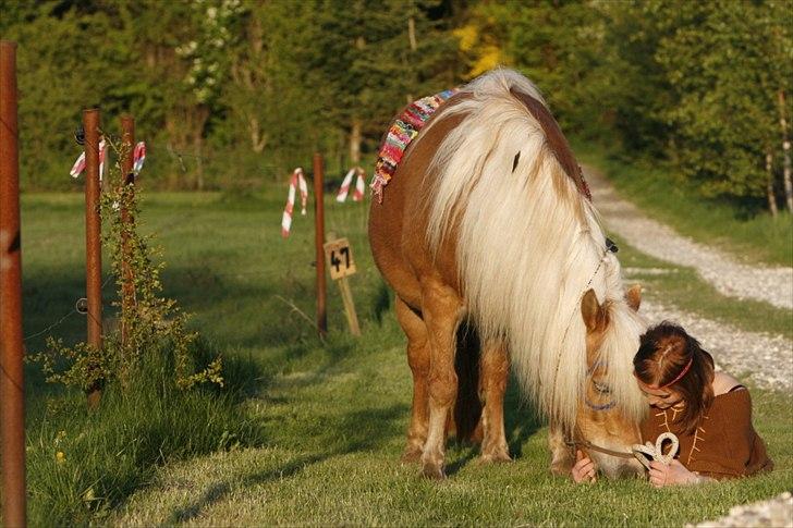 Anden særlig race Lille Lyn - 17.  Når Andrea og LL leger indianere :D Foto: ©AM billede 16