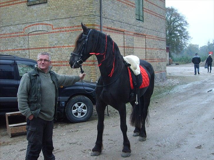 Frieser Griet A *RIP* - Svenstrup Godt d. 23/10 - klar til tur. billede 18