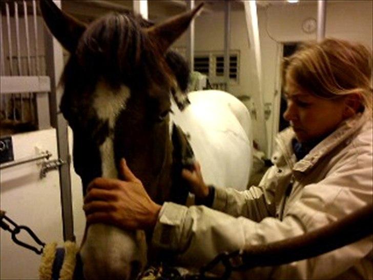 Anden særlig race Ebony's Surprise SOLGT - Surprise nyder at blive klippet ;p billede 15