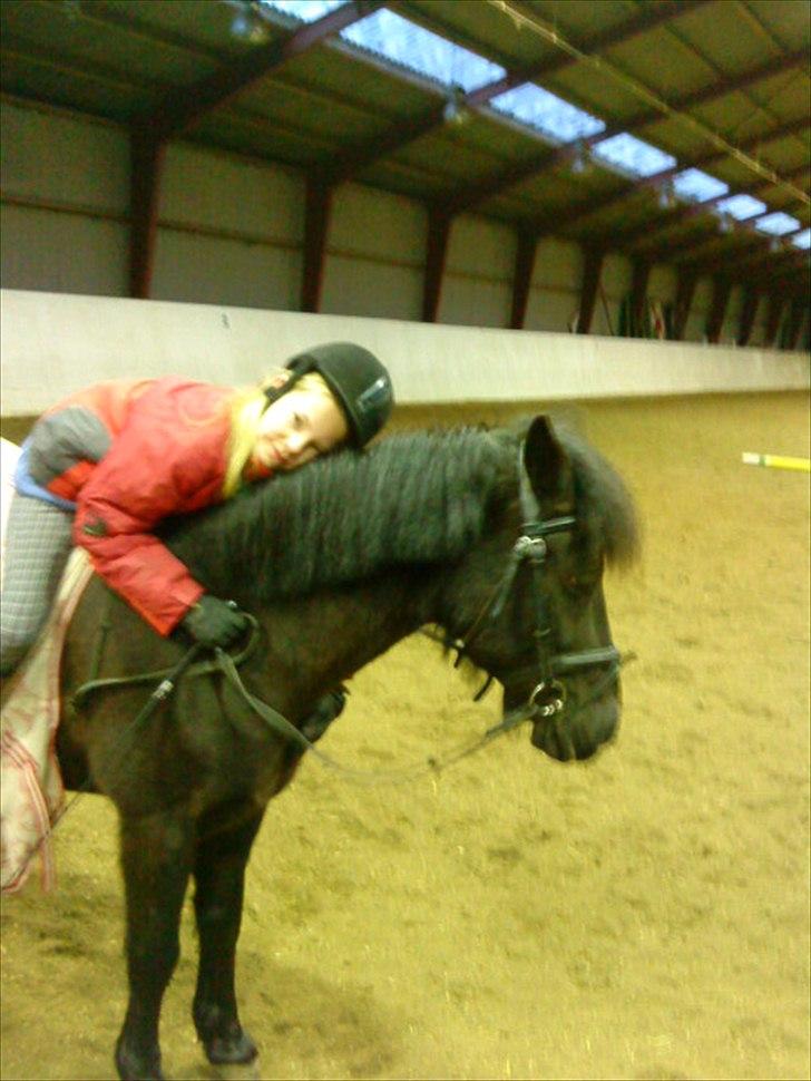 Anden særlig race Beauty part - min min min næsten kun min.! billede 11