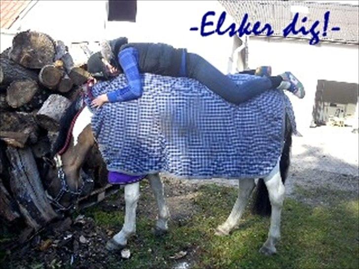 Anden særlig race Ebony's Surprise SOLGT billede 16