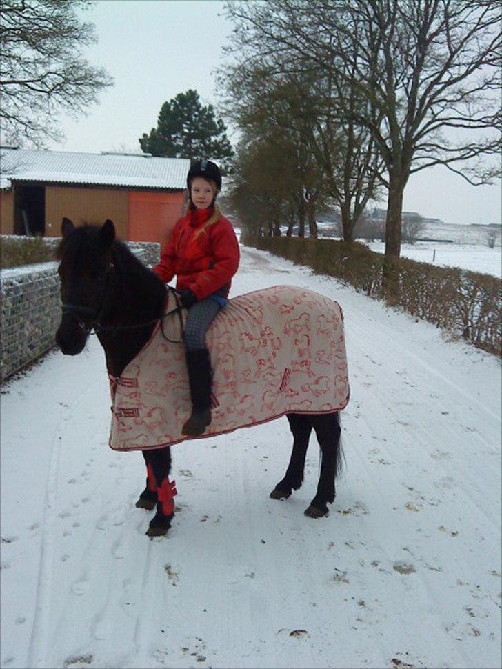 Anden særlig race Beauty part - hygge tur i sneen.! billede 12