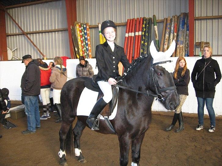 Anden særlig race Beauty part - vi vandt en 1plads den gang!!!!! billede 13