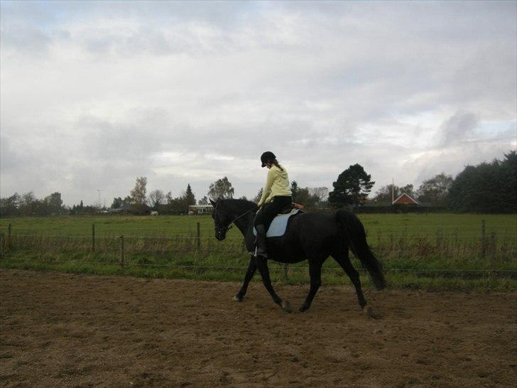Oldenborg Cirkeline  - tjaa hvad kan jeg sige  billede 4