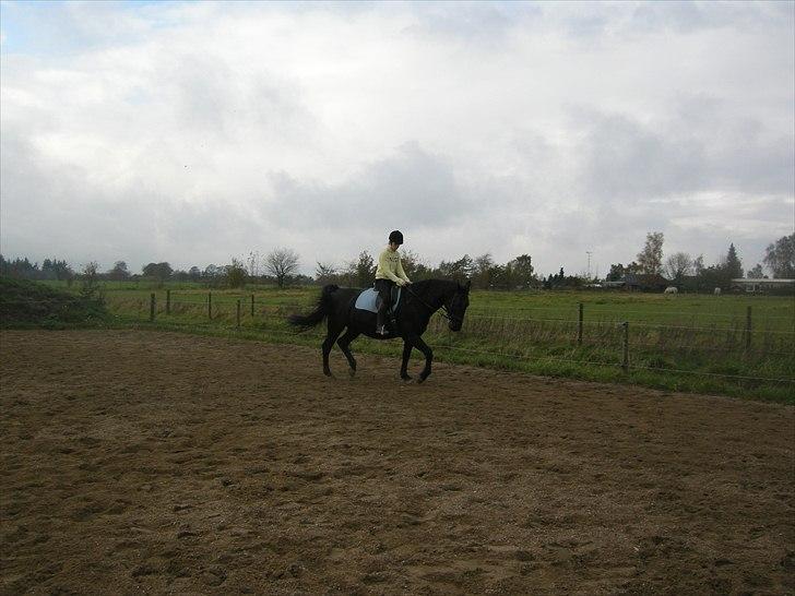 Oldenborg Cirkeline  - Hun er vidunderlig billede 8