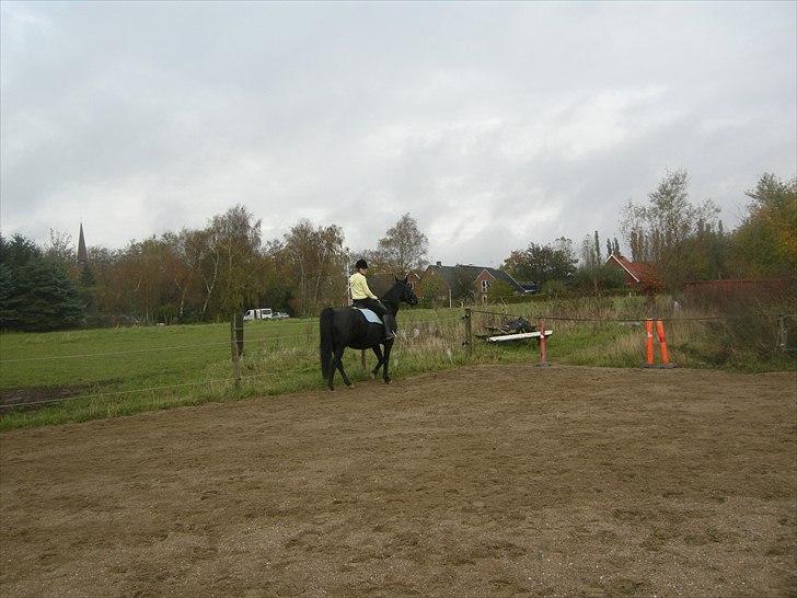 Oldenborg Cirkeline  - rider lidt rundt  billede 10