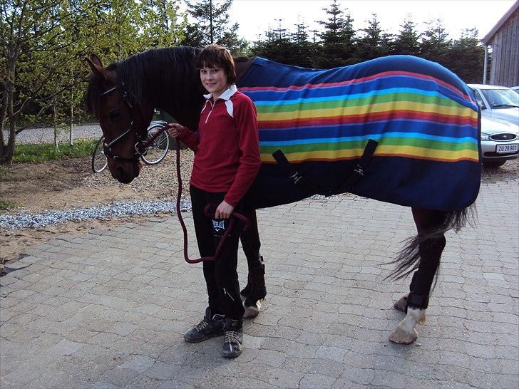 Anden særlig race Beauty billede 18