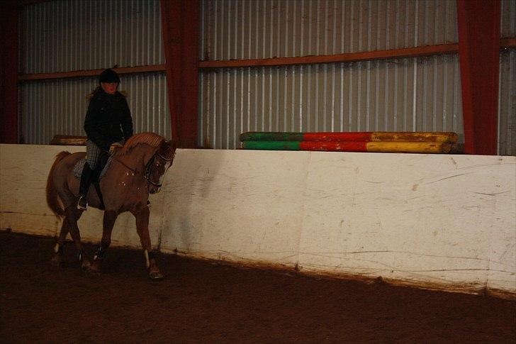 Anden særlig race Vestergårds La Chanta   billede 9