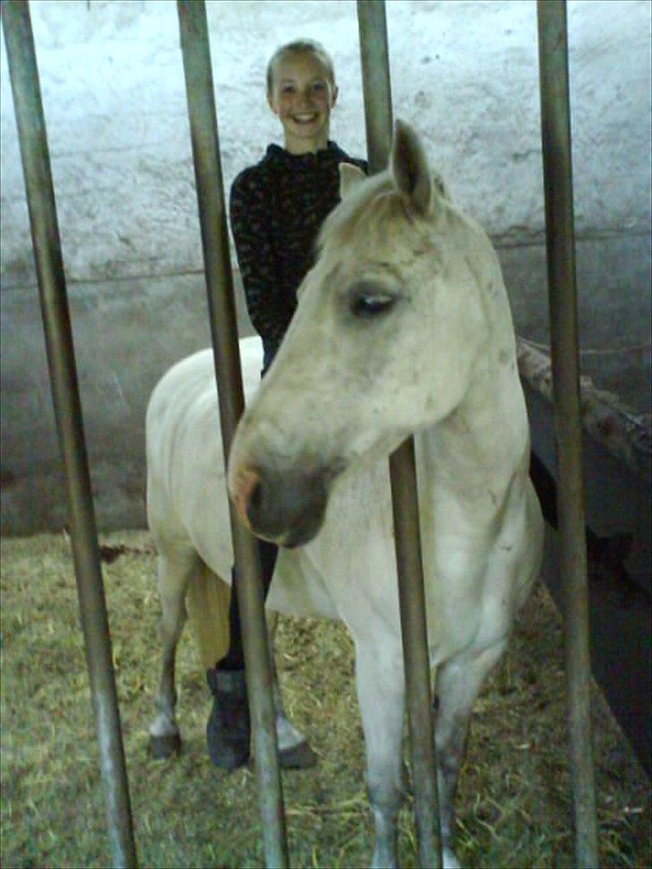 Anden særlig race Viggo - min vilde vilde pony?!! :D elsker dig dreng!:* billede 5