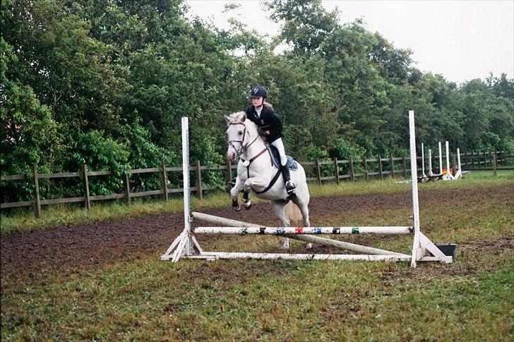 Anden særlig race Viggo - hammerrum-opvarmning..  fotograf; mia billede 9
