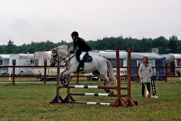 Anden særlig race Viggo - Lc, i hammerrum, første úplaceret..  fotograf; mia billede 10