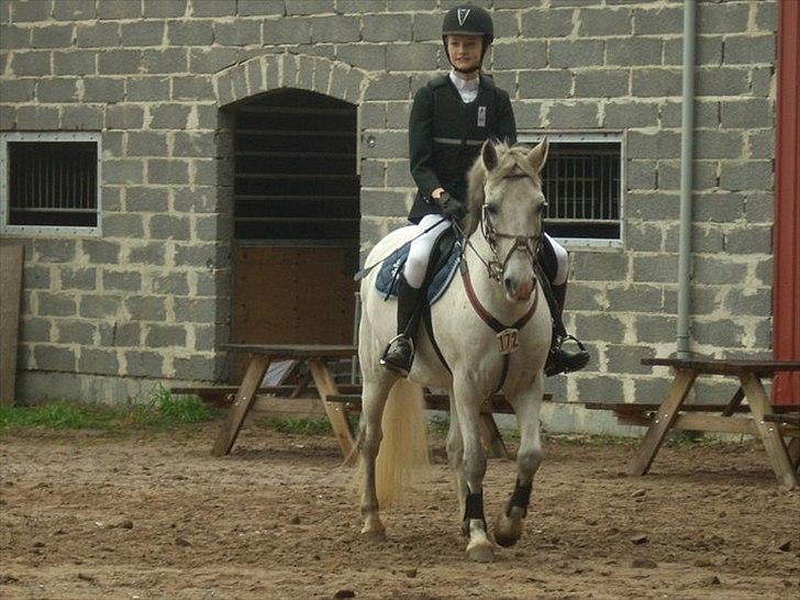 Anden særlig race Viggo - venter på præmie overrækkelse, i Overmoselund(: fik en anden plads- var 3 sek. fra en 1. plads/: -igen MIN fejl! :D billede 11