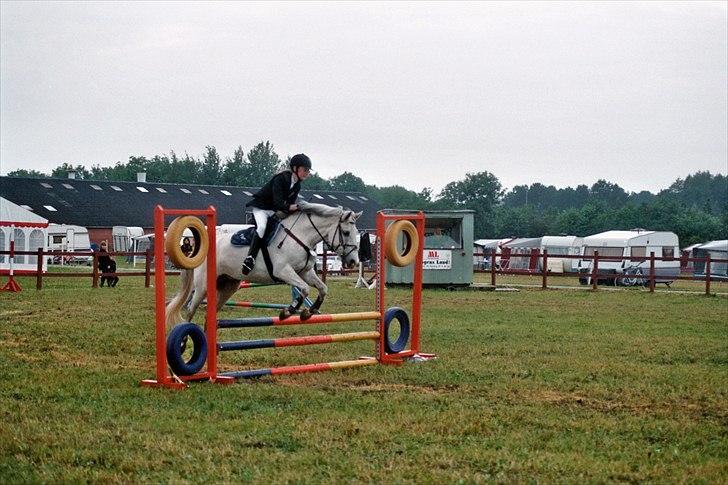 Anden særlig race Viggo - Lc, første úplaceret.. hammerrum  fotograf; mia(: billede 12