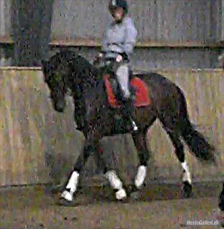 Anden særlig race Casino - ved godt de er slørede, men det må I lige leve med:) billede 11