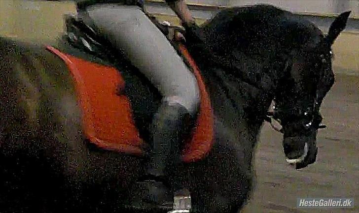 Anden særlig race Casino billede 13