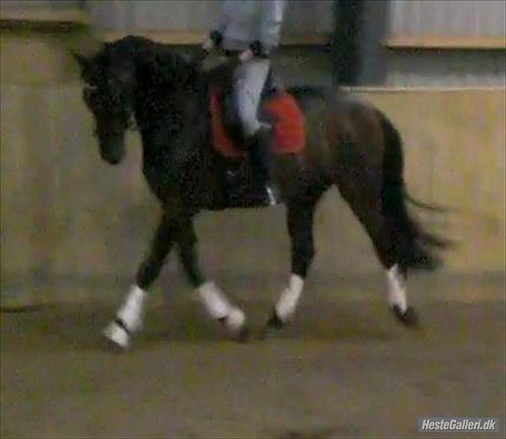 Anden særlig race Casino billede 14