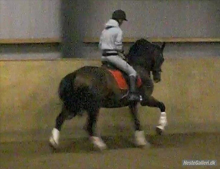 Anden særlig race Casino billede 15