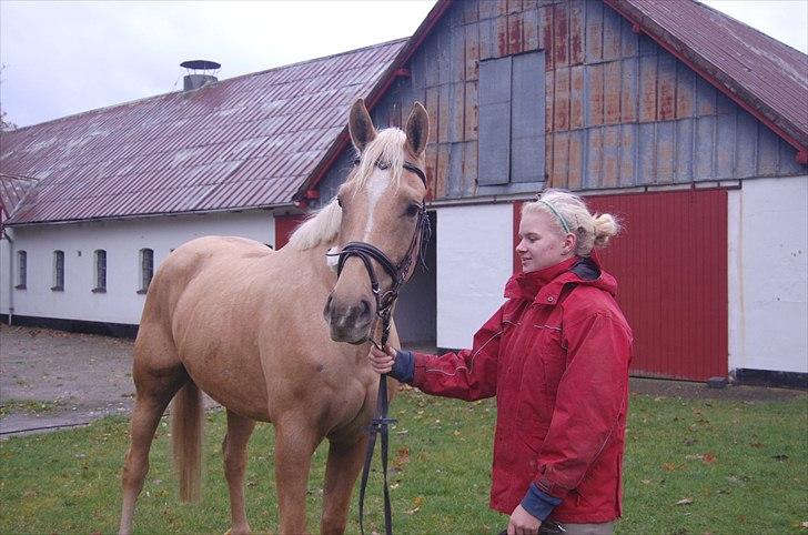 Palomino Pikachu Ørnhøj - Min smukke dreng :D med ny frisure <3 billede 8